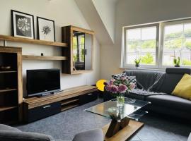 Modernes Ferienhaus Sauerblick，位于Langsur的酒店