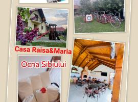 Casa Raisa & Maria，位于锡比乌盐矿镇的酒店