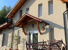 Pensiunea Casa Amy，位于Gladna Romînă的酒店