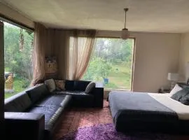 Zen Garden House