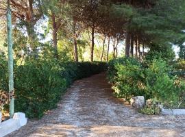 A Casa dei Nonni - 3000mq di relax in giardino a 1500m dal mare，位于托雷奇安卡的度假屋