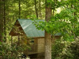 Holly Nest a Cozy Cabin Getaway near Gatlinburg，位于科斯比的酒店