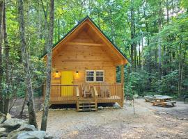 Laurel Haven a Modern Cabin Retreat near Gatlinburg，位于科斯比的酒店