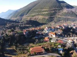 阿罗尼亚2号旅馆