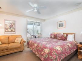 Mountainside Inn 121 by Alpine Lodging Telluride，位于特柳赖德的酒店