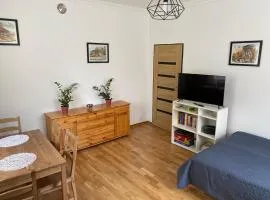 Apartament przy Parku Czartoryskich II