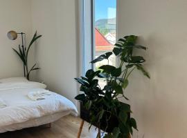The R Apartment Passwang, KLIMA, NEU, Balkon, Parking，位于巴尔斯塔尔的酒店