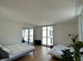 The R Apartment Passwang, KLIMA, NEU, Balkon, Parking，位于巴尔斯塔尔的酒店