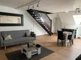 Duplex très charmant