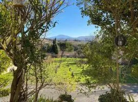 La vue sur le Mont Ventoux, appartement & parking