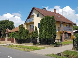 Großes Ferienhaus Plattensee Balaton - nyaraló ház 6 szobával, 5 fürdőszobával, 3000 nm，位于Szólád的度假短租房