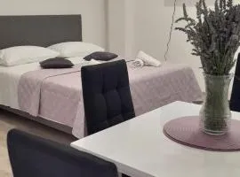 Ellamar City Center Apartment 2