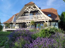 Romantik-Suite Nordelsaß B&B，位于Oberhoffen-lès-Wissembourg的酒店