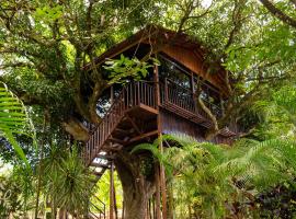 Hotel Heliconias Nature Inn & Hot Springs，位于福尔图纳的酒店