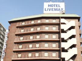HOTEL LiVEMAX BUDGET Yokohama Kannai，位于横滨的酒店