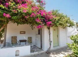 Green Retreats 3 Paros