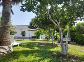 Aragon Cottage Apartments