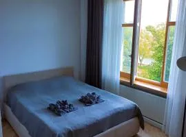 Great View Studio, self check in, free parking