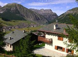 Chalet Elena，位于利维尼奥的木屋