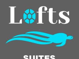 INGRID LOFTS，位于拉乌尼翁的酒店