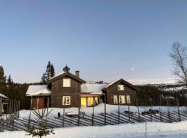 Luxurious, well-Equipped and modern Cabin by the Cross-Country Ski Trails，位于Eggedal的带热水浴缸的酒店