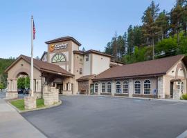 Comfort Inn & Suites Mt Rushmore，位于奇斯顿拉什莫尔山附近的酒店