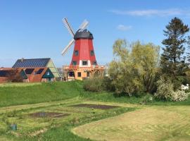 Ferienhaus Mühle "Neue Hoffnung"，位于Beidenfleth的度假短租房