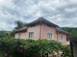 Casa IBT