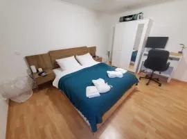 Le Pied-à-Terre de Fenières - T2 à 10mins de Genève et du CERN !