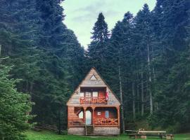 Cottage Sochi，位于安布罗劳里的木屋