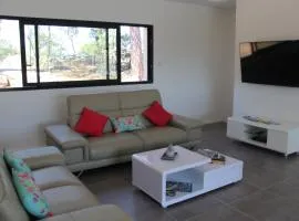 State of the Art Fixtures Villa in Vidauban with Pool