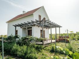 Beim Legath - Kellerstöckl und Schlaffässer，位于Strem的酒店