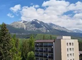 BEST MOUNTAIN VIEIW APARTMENT