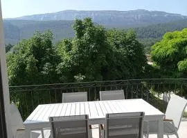 LA MAISON DE PAPOU La Vigne A NANS LES PINS 83860