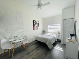 Alma Guest Suite，位于迈阿密的公寓