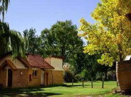 Cabaña en Alta Montaña - Complejo Cabañas del Pastizal - USPALLATA, MENDOZA