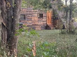 Cabin 1 Remote cabin next to Sam Houston National Forest