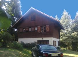 CHALET du LAC，位于Saint-Rémy-sur-Durolle的住宿加早餐旅馆