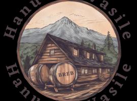 Hanu lu’ Vasile，位于Breb的酒店