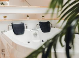AU COIN DE PARADIS - Suite balnéo，位于Samer的酒店