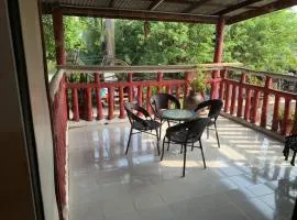 Homestay Kimi