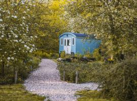 Tiny Houses Bij De Compagnons，位于Waskemeer的山林小屋