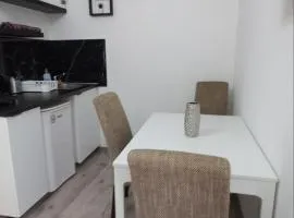 Apartmani Banja Vrujci Lux