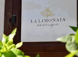 B&B La Limonaia