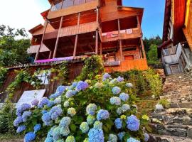 Maçahelhan Butik Otel Pansiyon，位于Borçka的酒店