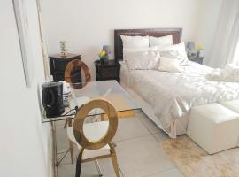 Serene Town House AirB&B，位于Wolmaransstad的酒店