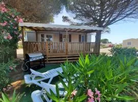 Mobilhome Canet-en-Roussillon