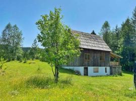 Vukov Konak - Wolf's lodge，位于扎布利亚克的农家乐