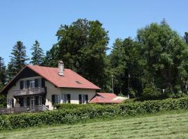 Chalet les Pounets，位于Damprichard的酒店