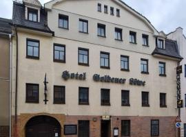 Traditionshotel Goldener Löwe，位于措伊伦罗达的酒店